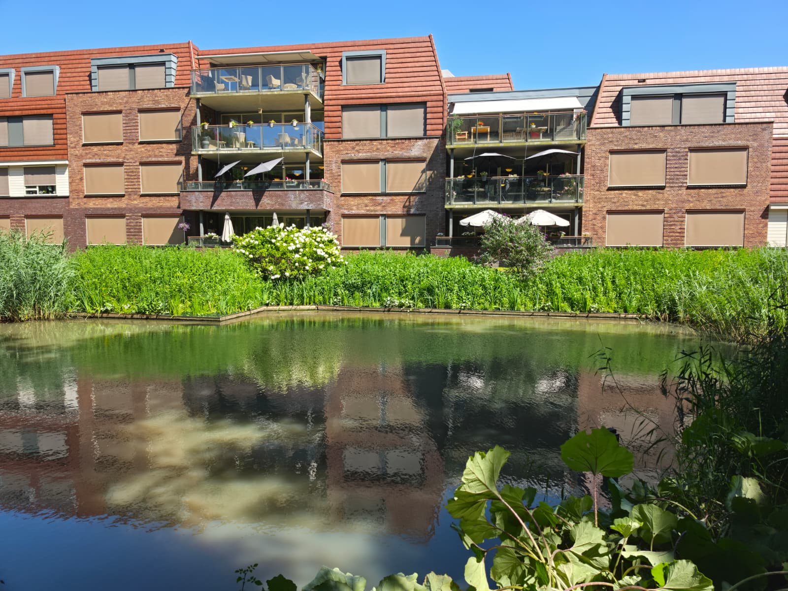 Natuurvriendelijke beschoeiing in de tuin van Nieuwpoort 