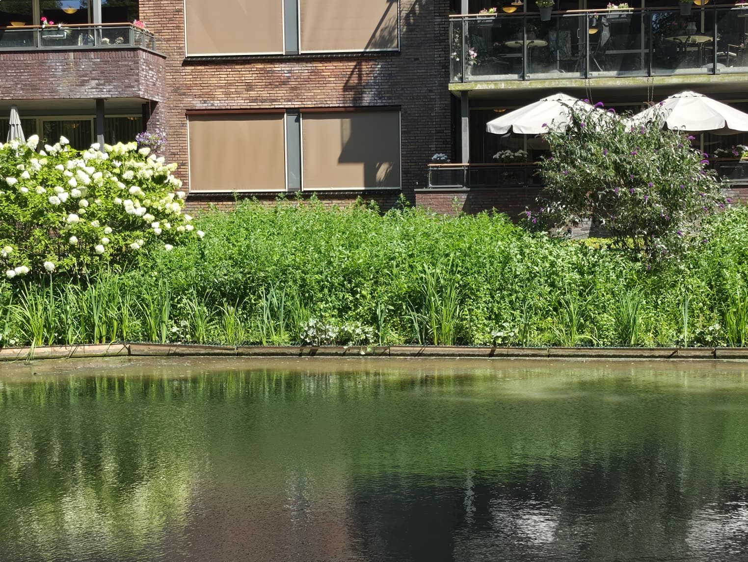 Natuurvriendelijke beschoeiing in de tuin van Nieuwpoort 2