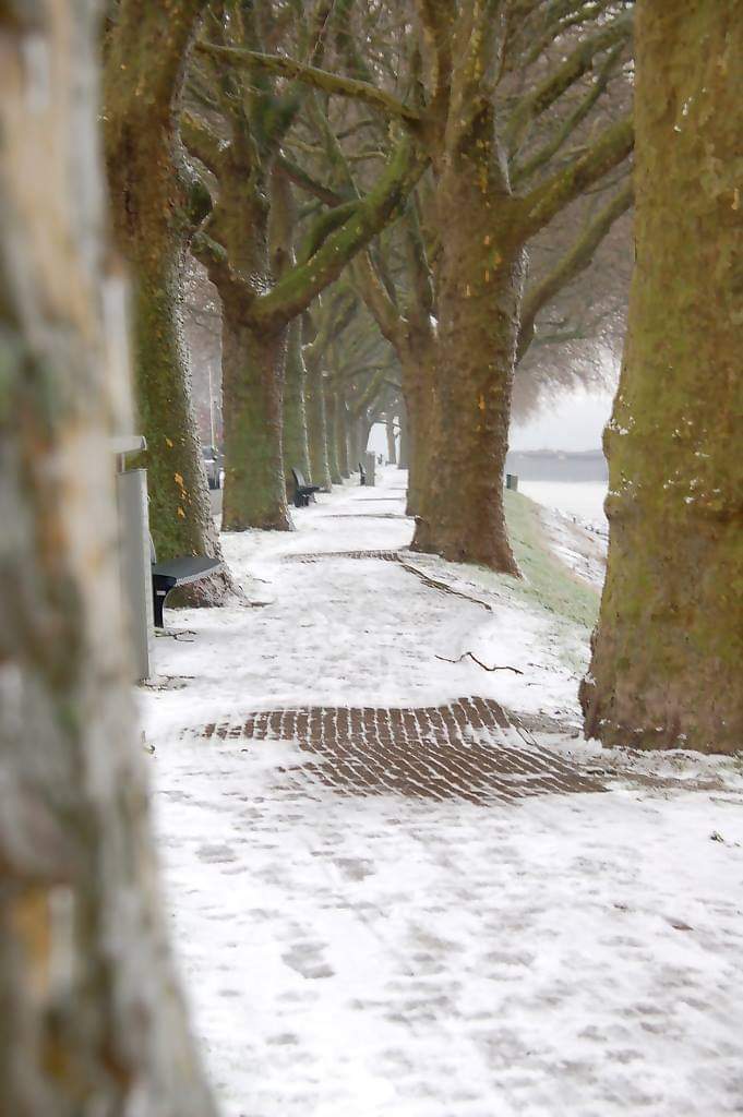 Sneeuw Adriaan Volkersingel