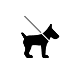 Hond aan riem